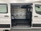 2025 Ford Transit Cargo Van T-250 130" Low Rf 9070 GVWR RWD